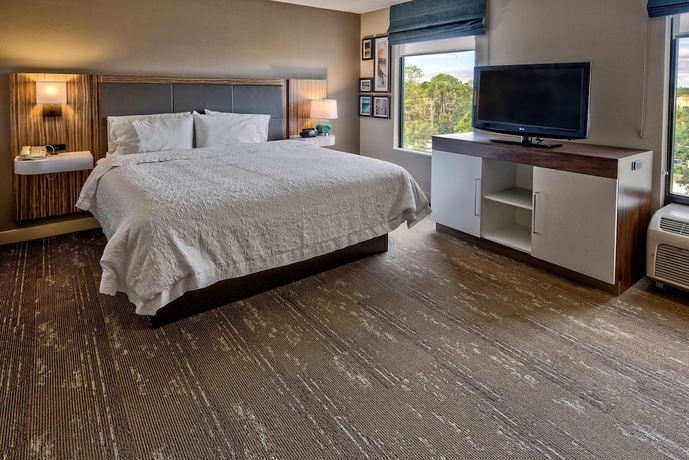 Imagen de la habitación del Hotel Hampton Inn and Suites Fort Myers-estero/fgcu. Foto 7