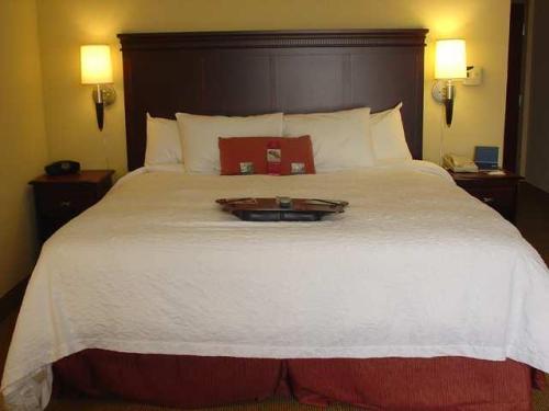 Imagen general del Hotel Hampton Inn and Suites Gainesville. Foto 5