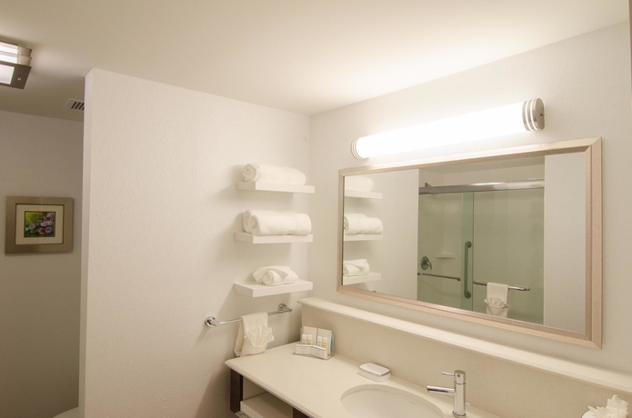 Imagen de la habitación del Hotel Hampton Inn and Suites Houston North Iah. Foto 10
