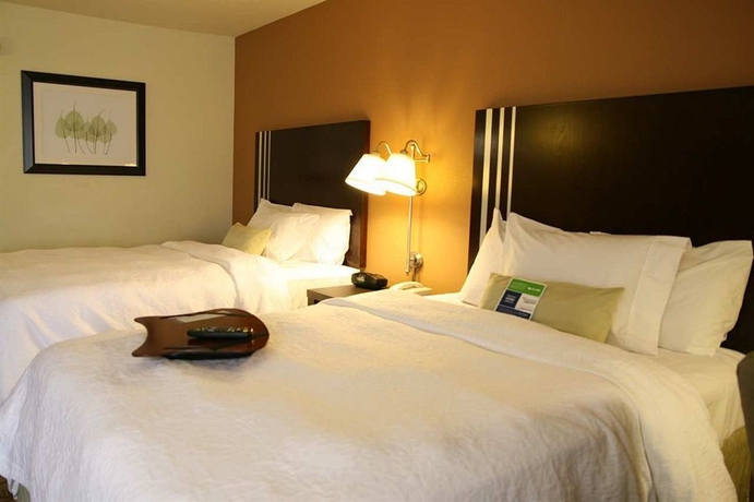 Imagen de la habitación del Hotel Hampton Inn and Suites Houston-cypress Station. Foto 4