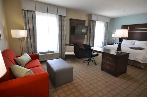 Imagen de la habitación del Hotel Hampton Inn and Suites Hutto Austin. Foto 2