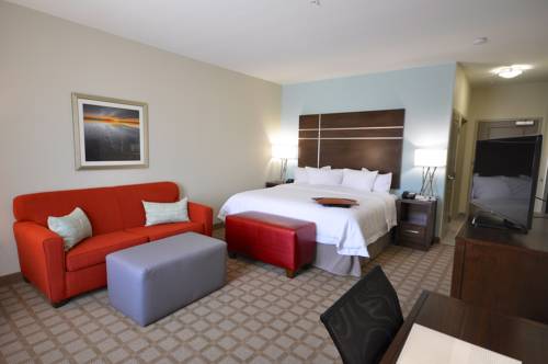 Imagen de la habitación del Hotel Hampton Inn and Suites Hutto Austin. Foto 3