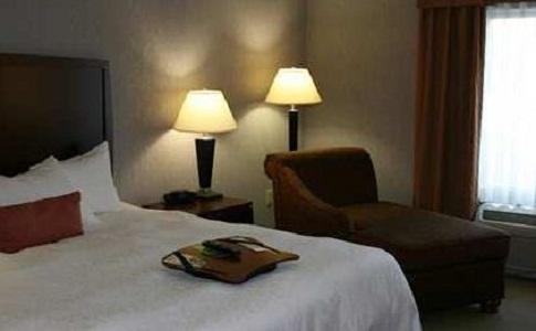 Imagen general del Hotel Hampton Inn and Suites Indianapolis/brownsburg. Foto 8