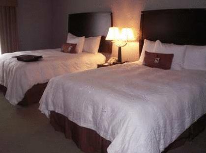 Imagen general del Hotel Hampton Inn and Suites Indianapolis/brownsburg. Foto 9