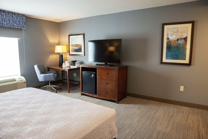 Imagen de la habitación del Hotel Hampton Inn and Suites Jacksonville. Foto 9