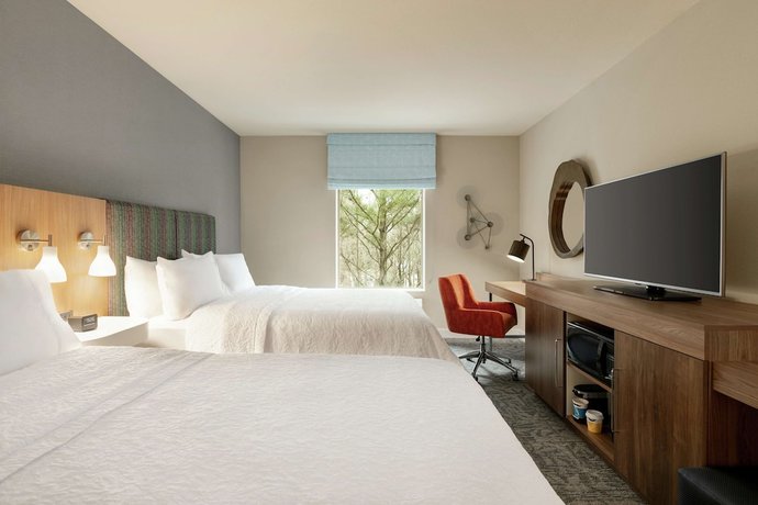 Imagen de la habitación del Hotel Hampton Inn and Suites Johns Creek. Foto 4