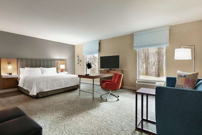 Imagen de la habitación del Hotel Hampton Inn and Suites Johns Creek. Foto 5