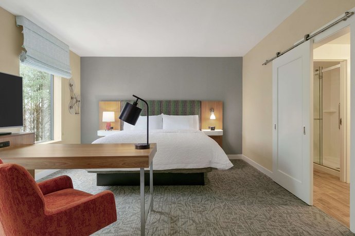 Imagen de la habitación del Hotel Hampton Inn and Suites Johns Creek. Foto 7