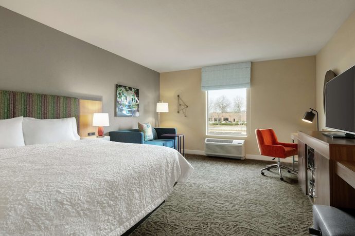 Imagen de la habitación del Hotel Hampton Inn and Suites Johns Creek. Foto 9
