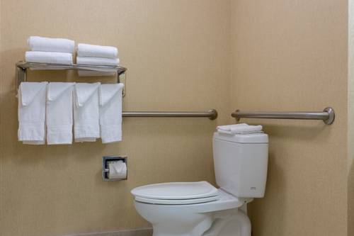 Imagen de la habitación del Hotel Hampton Inn and Suites Knoxville-downtown. Foto 1
