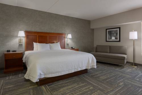 Imagen de la habitación del Hotel Hampton Inn and Suites Knoxville-downtown. Foto 5