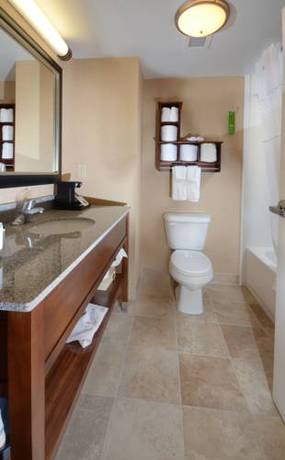 Imagen de la habitación del Hotel Hampton Inn and Suites Lynchburg. Foto 6