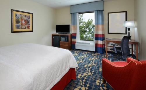 Imagen de la habitación del Hotel Hampton Inn and Suites Lynchburg. Foto 10