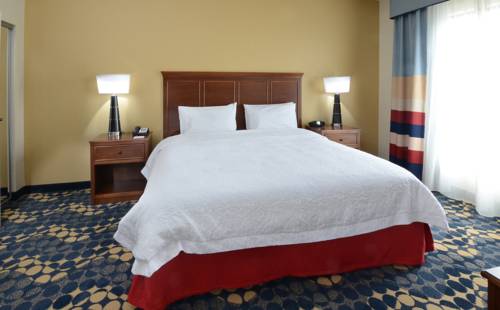 Imagen de la habitación del Hotel Hampton Inn and Suites Lynchburg. Foto 13