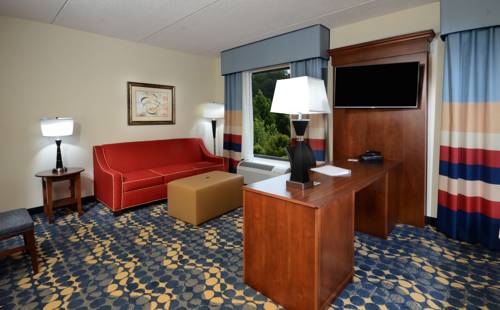 Imagen de la habitación del Hotel Hampton Inn and Suites Lynchburg. Foto 14