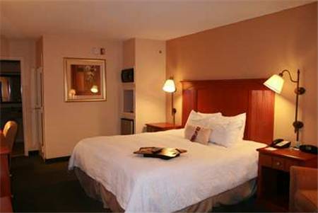 Imagen de la habitación del Hotel Hampton Inn and Suites Macon I-475. Foto 4