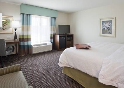 Imagen de la habitación del Hotel Hampton Inn and Suites Minneapolis/west-minnetonka. Foto 6
