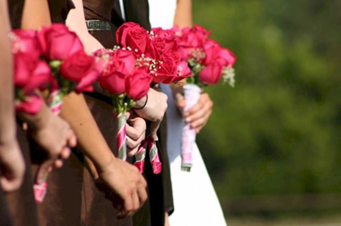 Imagen de los exteriores del Hotel Hampton Inn and Suites Nashville-airport. Foto 7