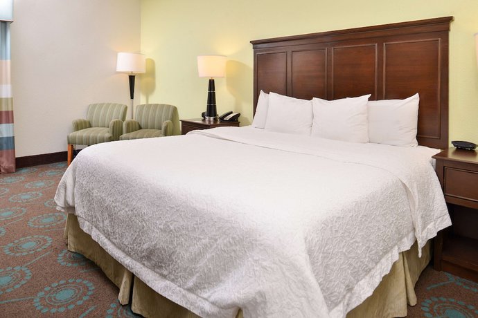 Imagen de la habitación del Hotel Hampton Inn and Suites Newport News (Oyster Point). Foto 9