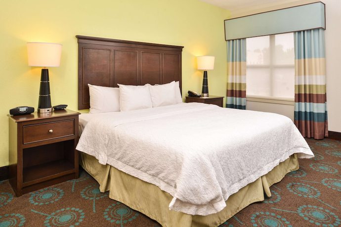 Imagen de la habitación del Hotel Hampton Inn and Suites Newport News (Oyster Point). Foto 11