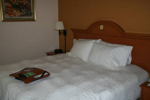 Imagen general del Hotel Hampton Inn and Suites Orlando Intl Dr N. Foto 6