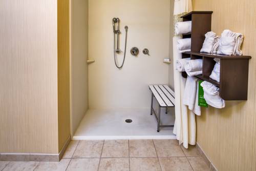 Imagen de la habitación del Hotel Hampton Inn and Suites Orlando-apopka. Foto 5