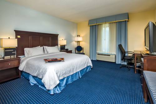 Imagen de la habitación del Hotel Hampton Inn and Suites Orlando-apopka. Foto 12