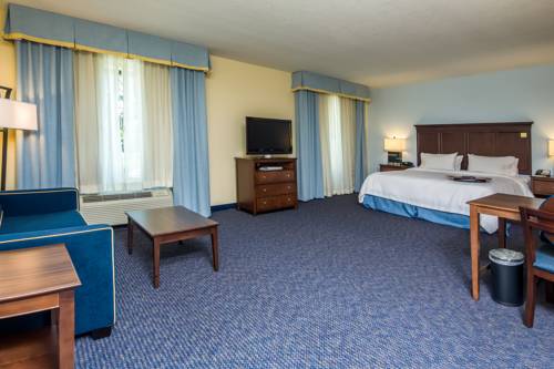 Imagen de la habitación del Hotel Hampton Inn and Suites Orlando-apopka. Foto 13