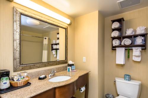 Imagen de la habitación del Hotel Hampton Inn and Suites Orlando-apopka. Foto 14