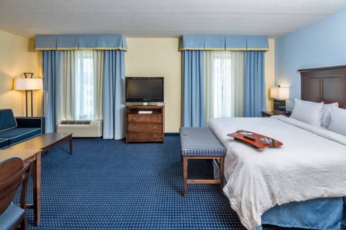 Imagen de la habitación del Hotel Hampton Inn and Suites Orlando-apopka. Foto 15