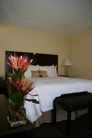 Imagen de la habitación del Hotel Hampton Inn and Suites Orlando-john Young Pkwy/s. Park. Foto 4