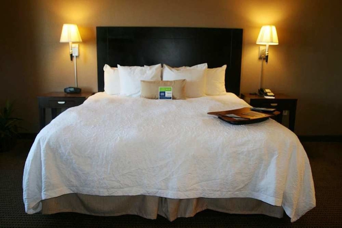 Imagen de la habitación del Hotel Hampton Inn and Suites Phoenix Glendale-westgate. Foto 11