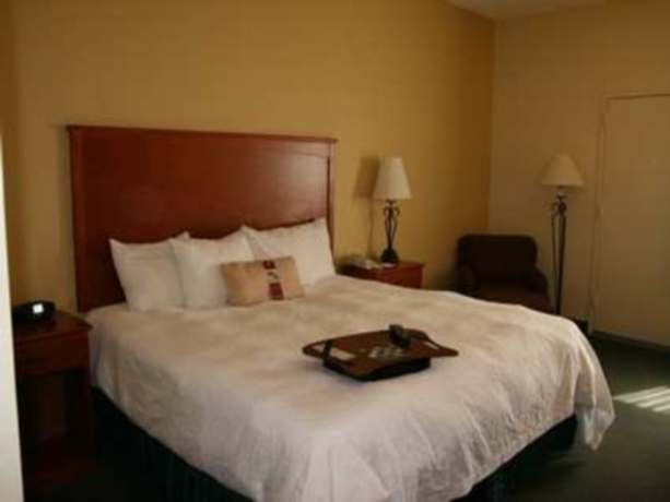Imagen general del Hotel Hampton Inn and Suites Phoenix/scottsdale On Shea Boulevard. Foto 2