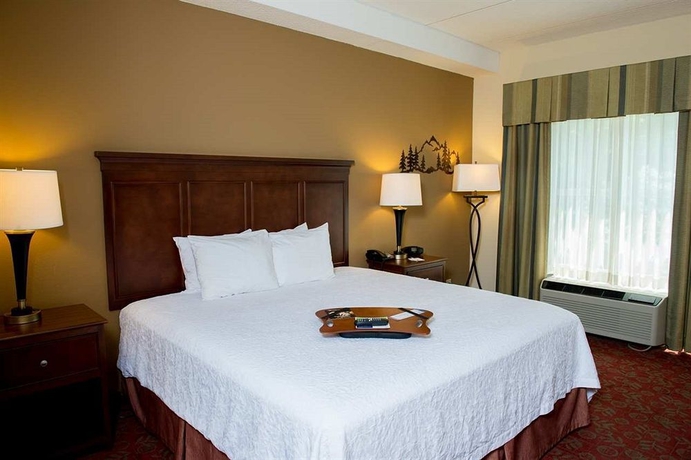 Imagen de la habitación del Hotel Hampton Inn and Suites Pigeon Forge On The Parkway. Foto 6
