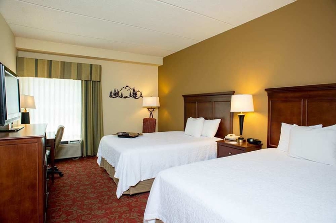 Imagen de la habitación del Hotel Hampton Inn and Suites Pigeon Forge On The Parkway. Foto 7