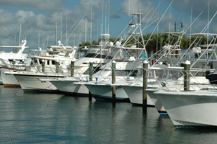 Imagen de los exteriores del Hotel Hampton Inn and Suites Port St. Lucie, West. Foto 14
