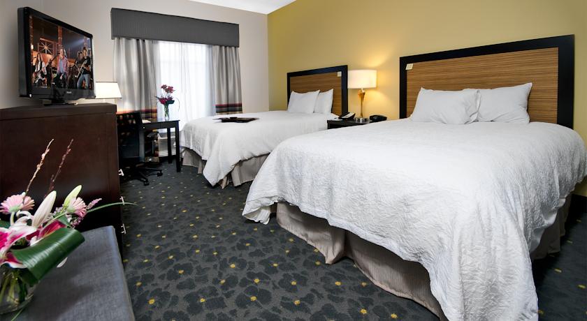 Imagen de la habitación del Hotel Hampton Inn and Suites Raleigh Downtown. Foto 7