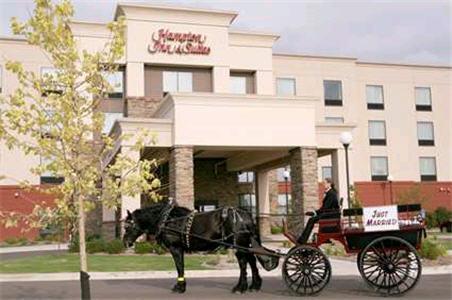 Imagen general del Hotel Hampton Inn and Suites Rogers. Foto 7