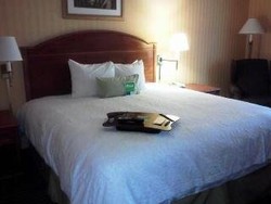 Imagen de la habitación del Hotel Hampton Inn and Suites Sacramento-cal Expo. Foto 5