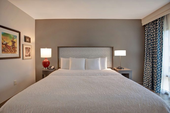 Imagen de la habitación del Hotel Hampton Inn and Suites San Antonio Riverwalk. Foto 2