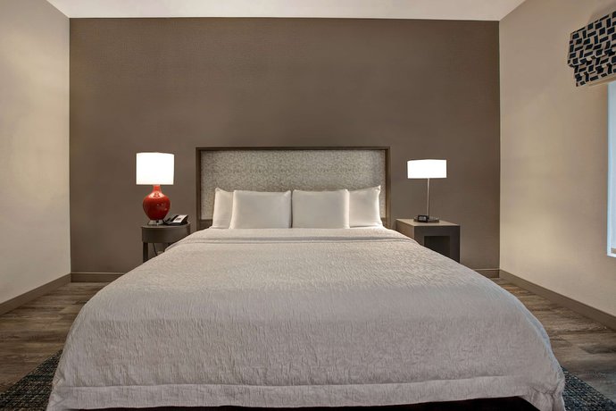Imagen de la habitación del Hotel Hampton Inn and Suites San Antonio Riverwalk. Foto 7