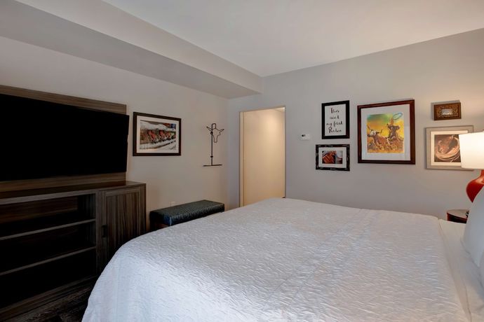 Imagen de la habitación del Hotel Hampton Inn and Suites San Antonio Riverwalk. Foto 9