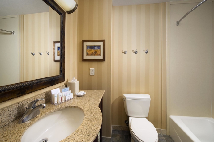 Imagen de la habitación del Hotel Hampton Inn and Suites San Antonio-airport. Foto 11