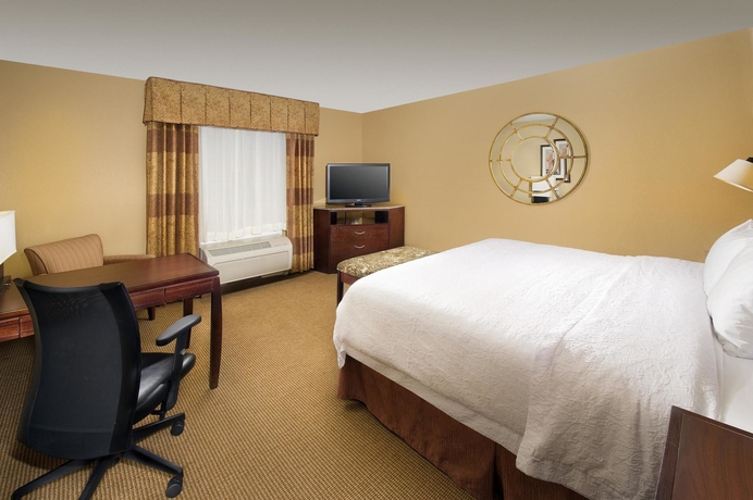 Imagen de la habitación del Hotel Hampton Inn and Suites San Antonio-airport. Foto 12
