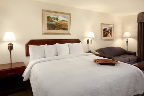 Imagen de la habitación del Hotel Hampton Inn and Suites San Marcos. Foto 3