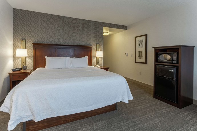 Imagen de la habitación del Hotel Hampton Inn and Suites Saratoga Springs Downtown. Foto 16