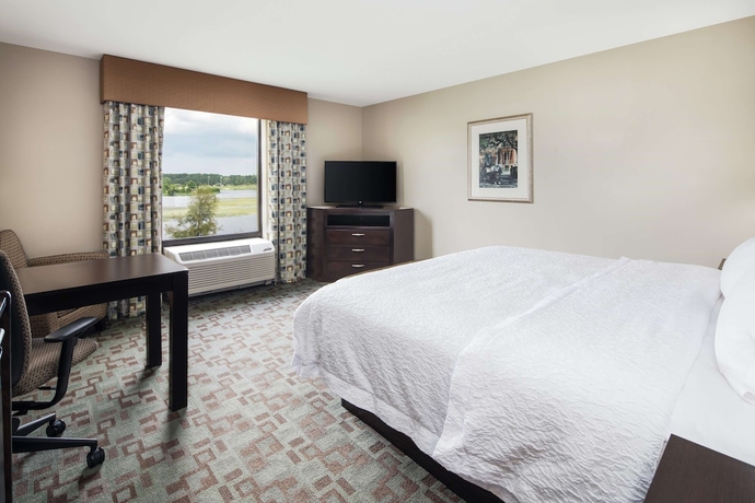 Imagen de la habitación del Hotel Hampton Inn and Suites Savannah-airport. Foto 6