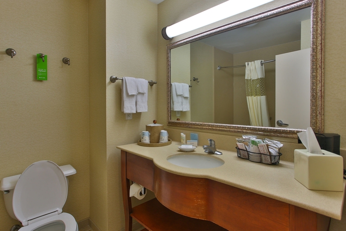Imagen de la habitación del Hotel Hampton Inn and Suites Schertz. Foto 7