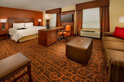 Imagen de la habitación del Hotel Hampton Inn and Suites Selma-san Antonio-randolph Afb Texas. Foto 3