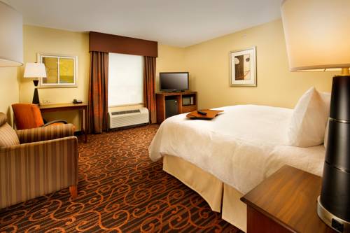 Imagen de la habitación del Hotel Hampton Inn and Suites Selma-san Antonio-randolph Afb Texas. Foto 4